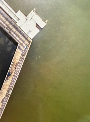 Screenshot 2026-02-11 123534.png