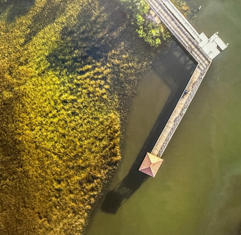 Screenshot 2026-02-11 123519.png