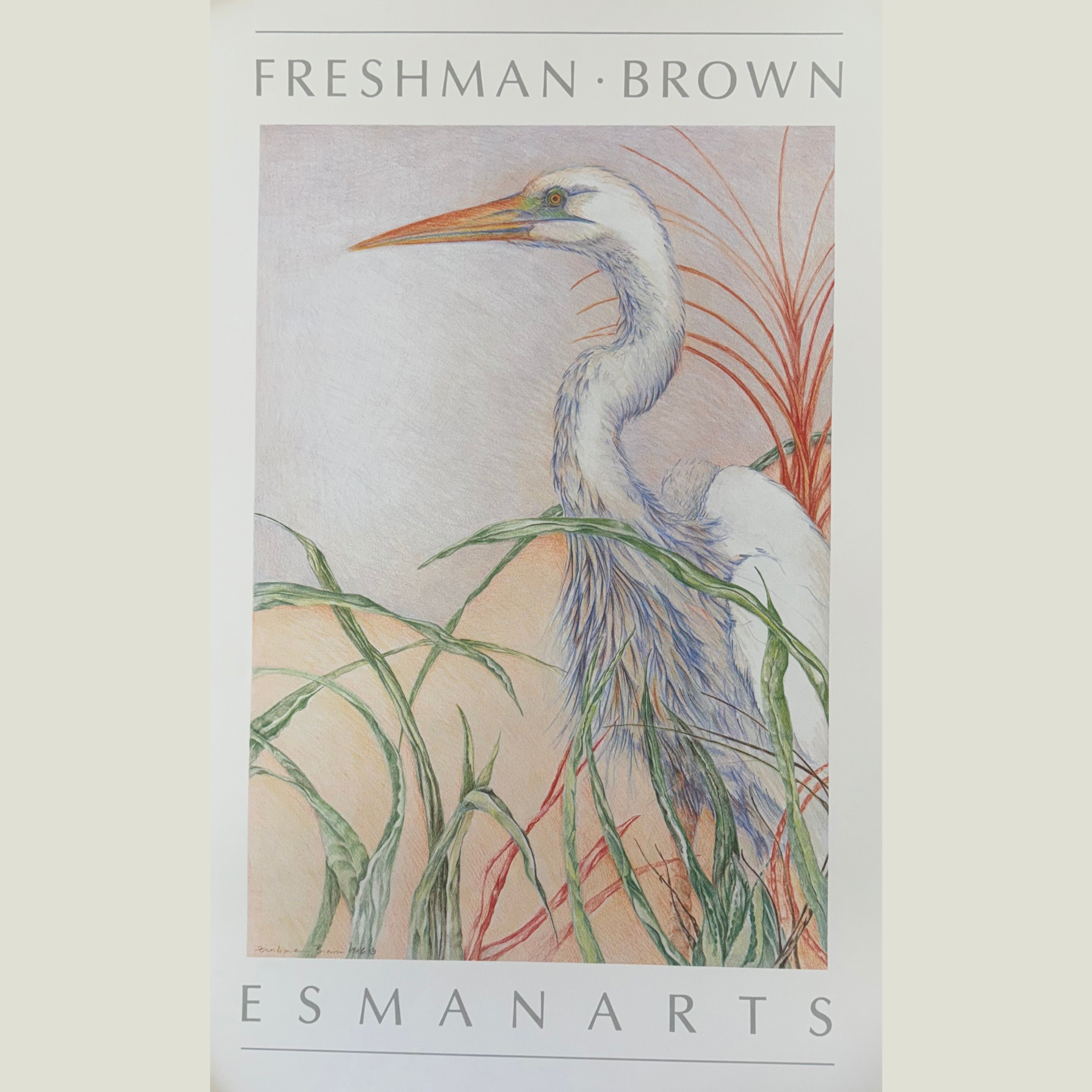 White Egret - Louise Freshman Brown (Offset Lithograph)