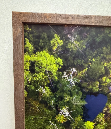 Screenshot 2026-02-11 123526.png