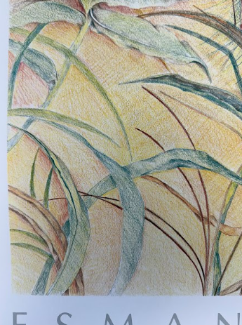 Screenshot 2026-02-13 154401.png