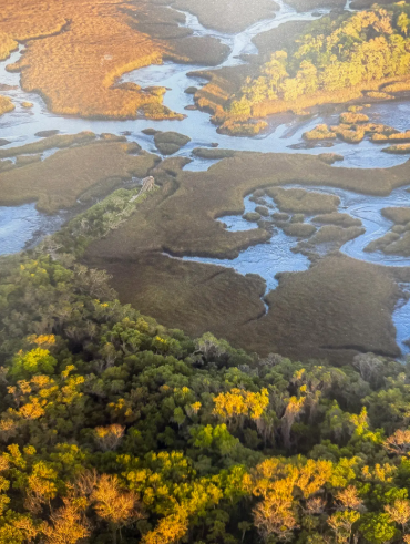 Screenshot 2026-02-11 131228.png