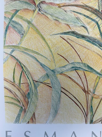 Screenshot 2026-02-13 154258.png