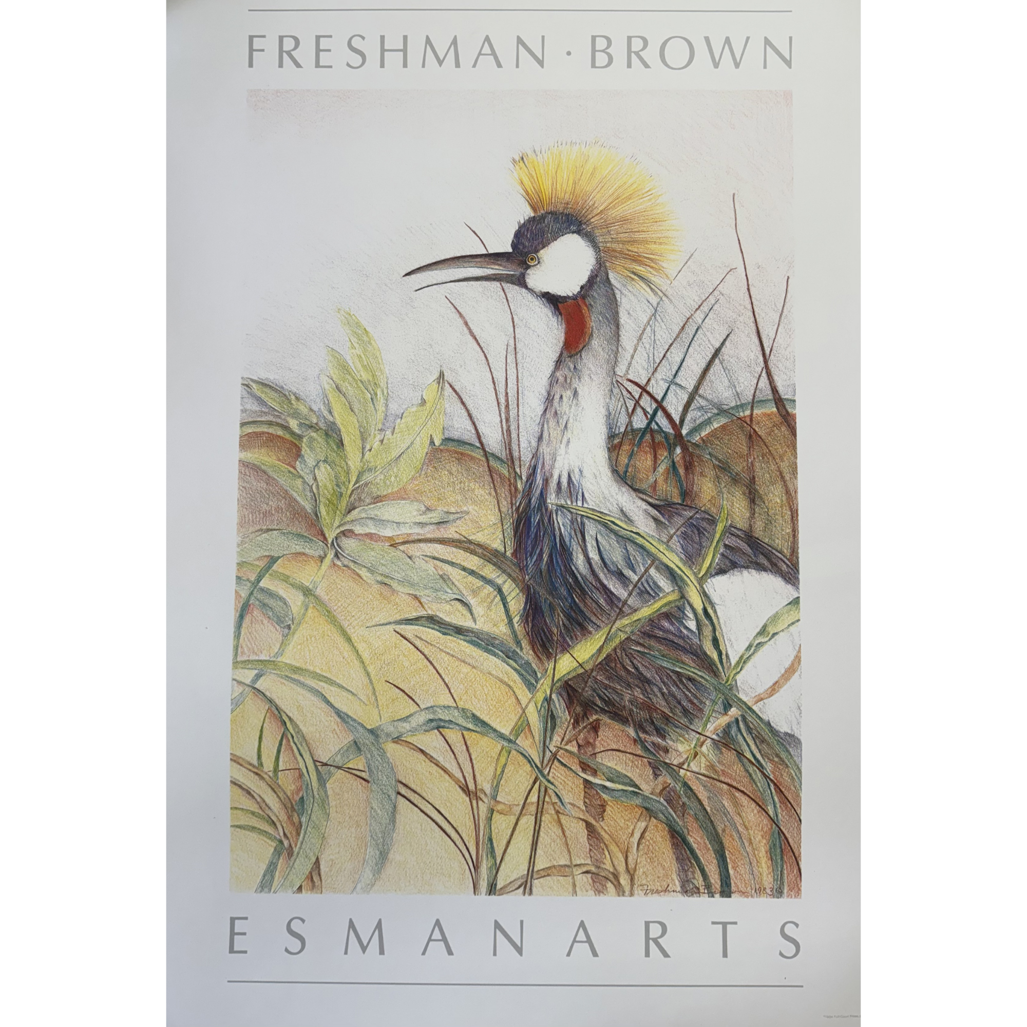 Grey Crowned Crane - Louise Freshman Brown (Offset Lithograph)