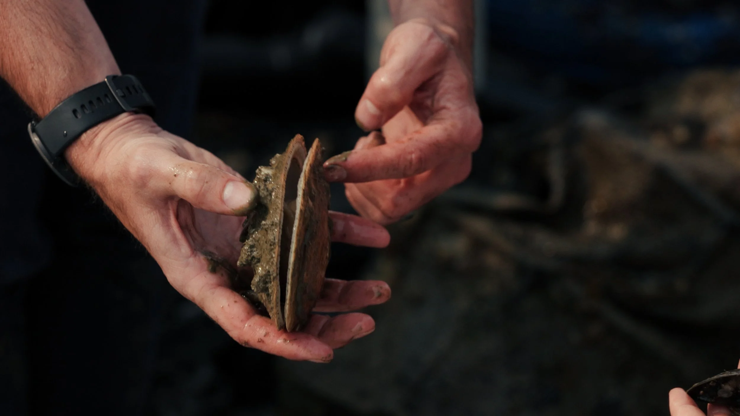 Still 2025-08-06 182852_2.6.1.JPG