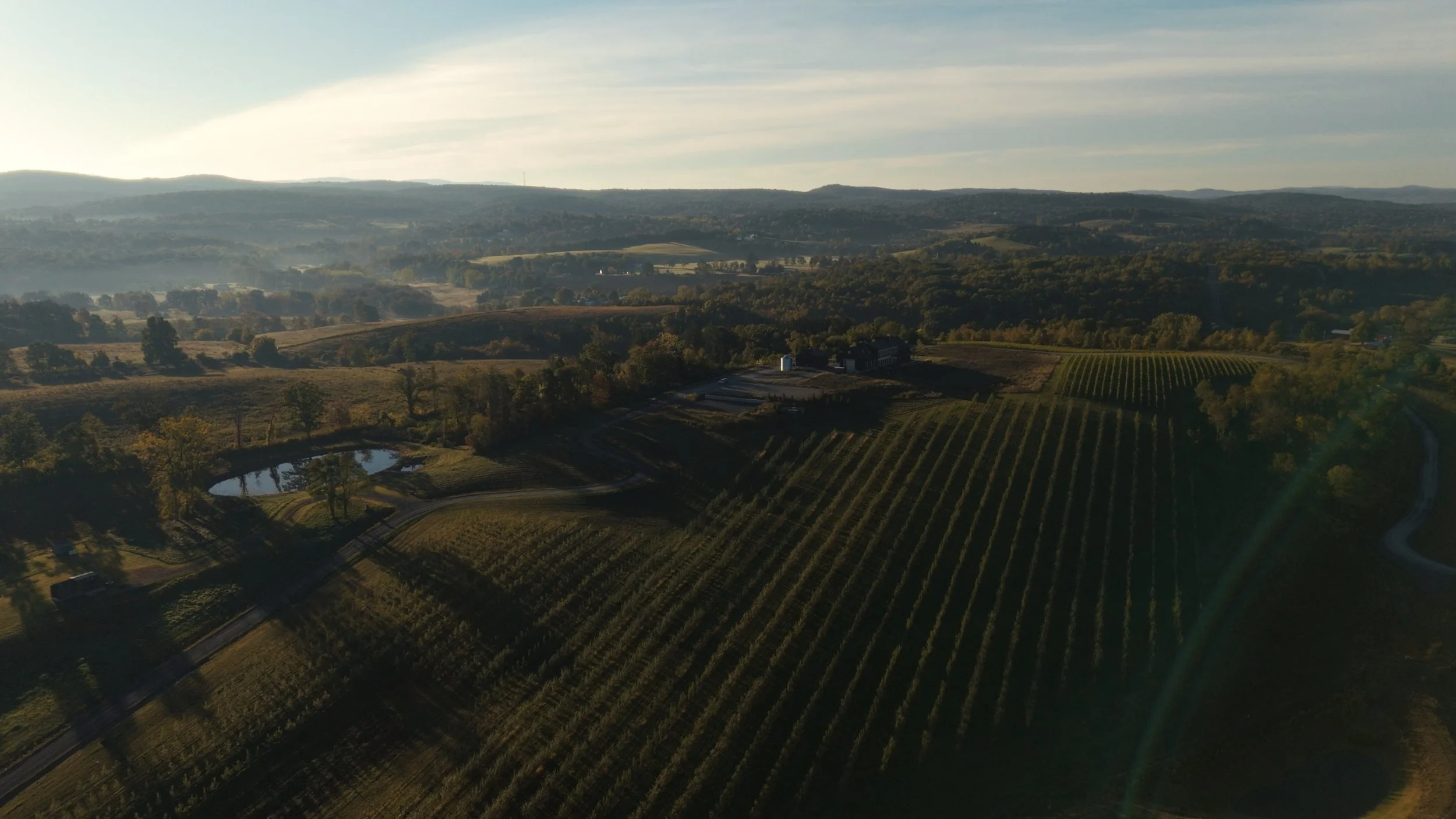 Still 2025-10-04 094957_1.493.1.jpg