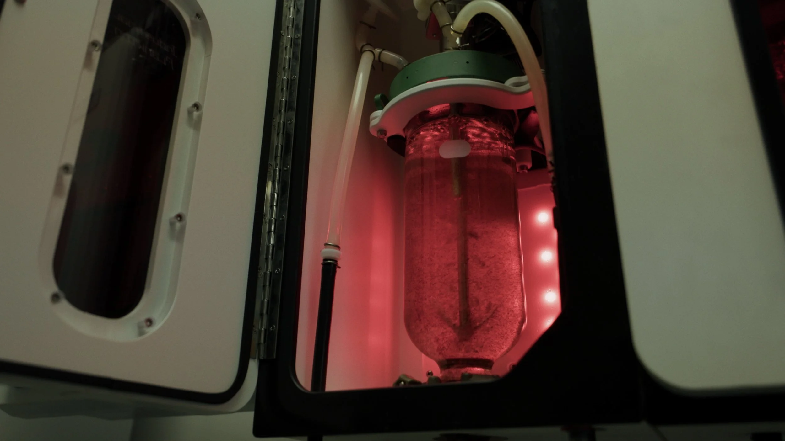 Still 2025-08-06 182922_1.280.2.JPG