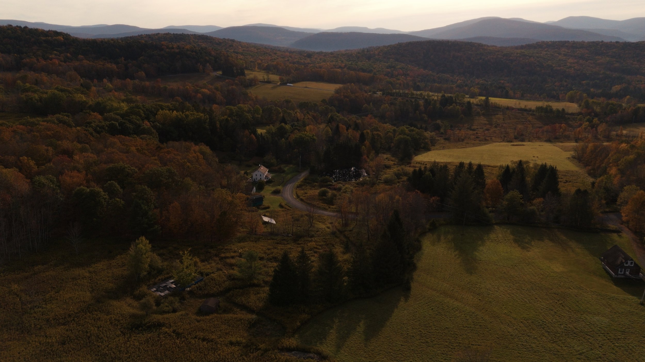 Still 2025-10-04 094957_1.511.1.jpg