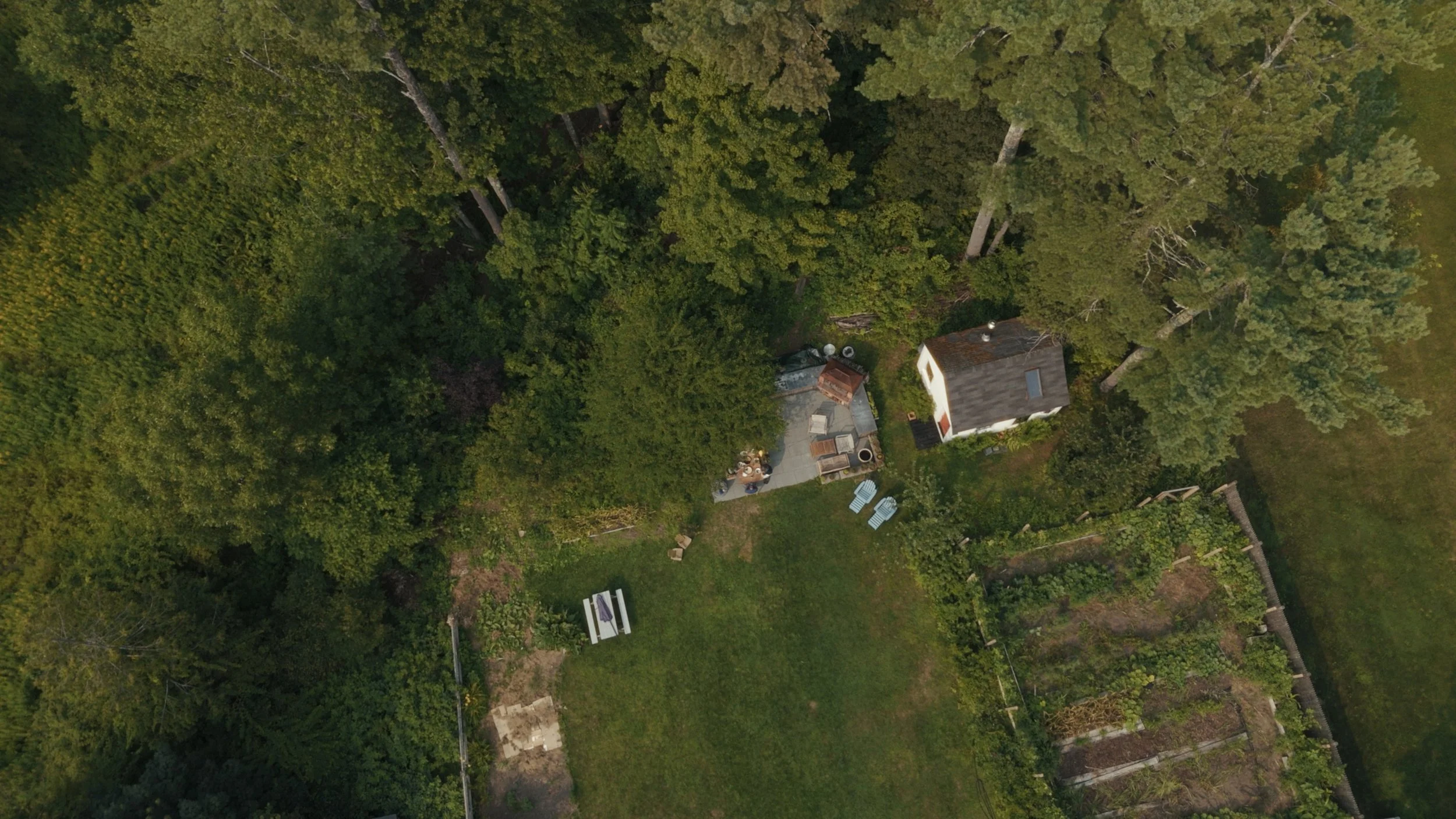 Still 2025-08-04 205600_1.219.1.JPG