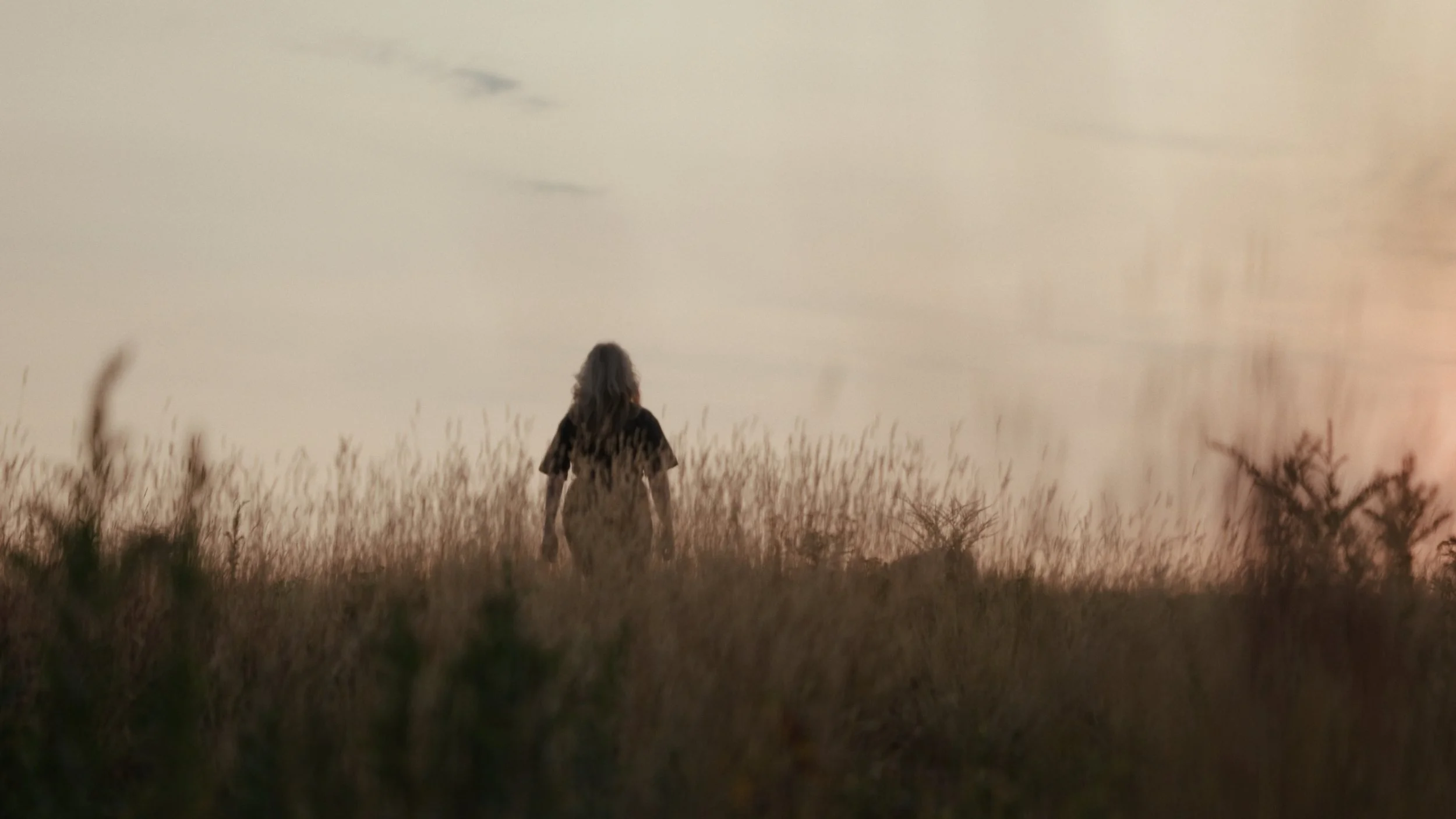 Still 2025-08-06 182922_1.227.1.JPG