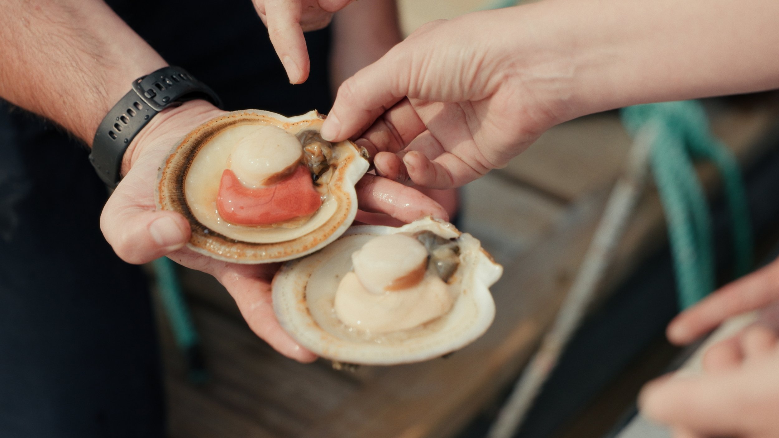 Still 2025-08-06 182852_2.7.2.JPG