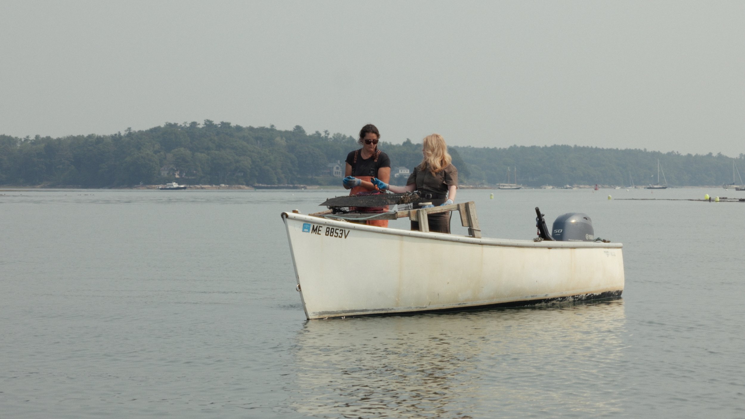 Still 2025-08-04 205600_1.37.1.JPG