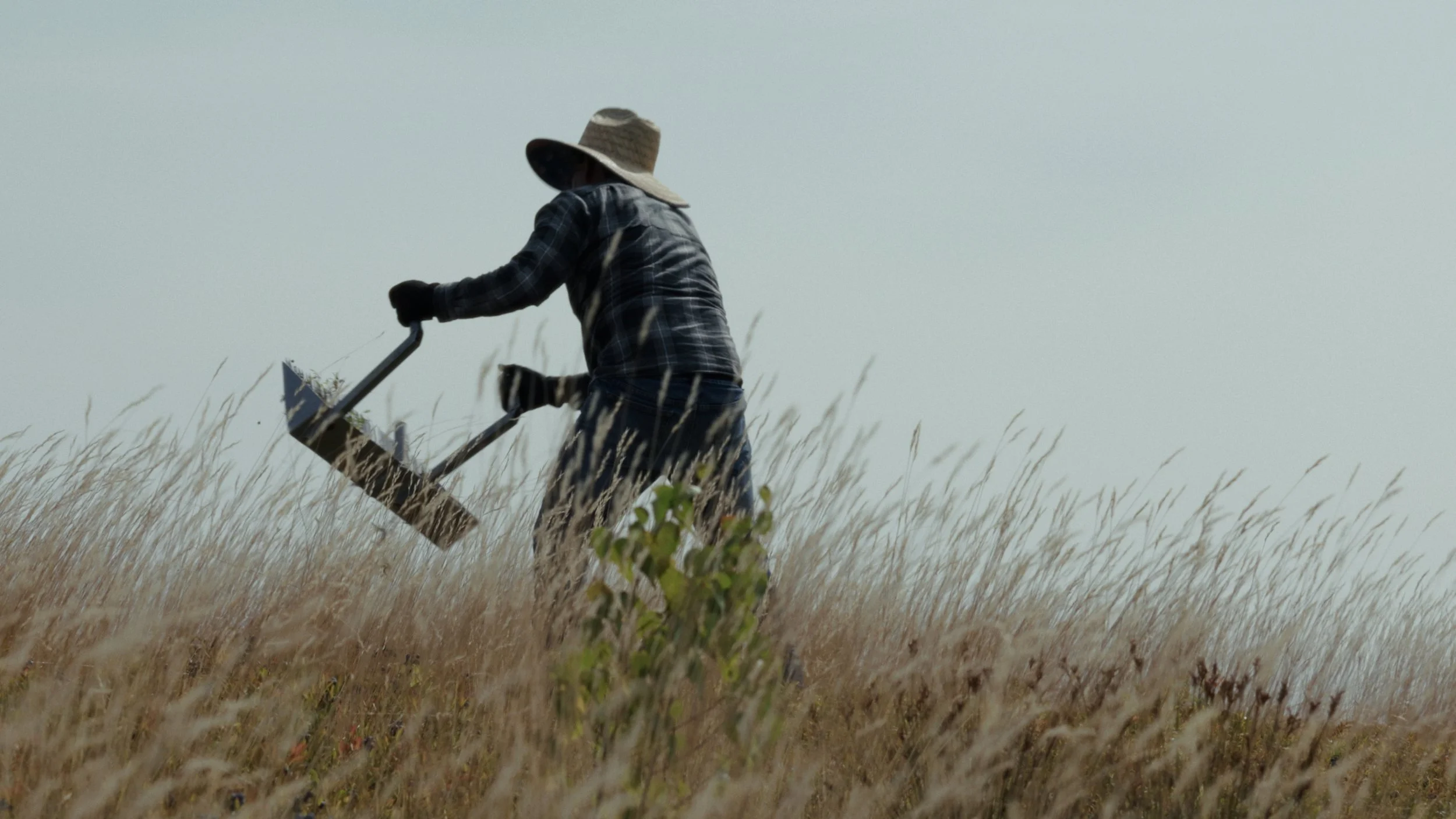 Still 2025-08-06 182922_1.263.1.JPG