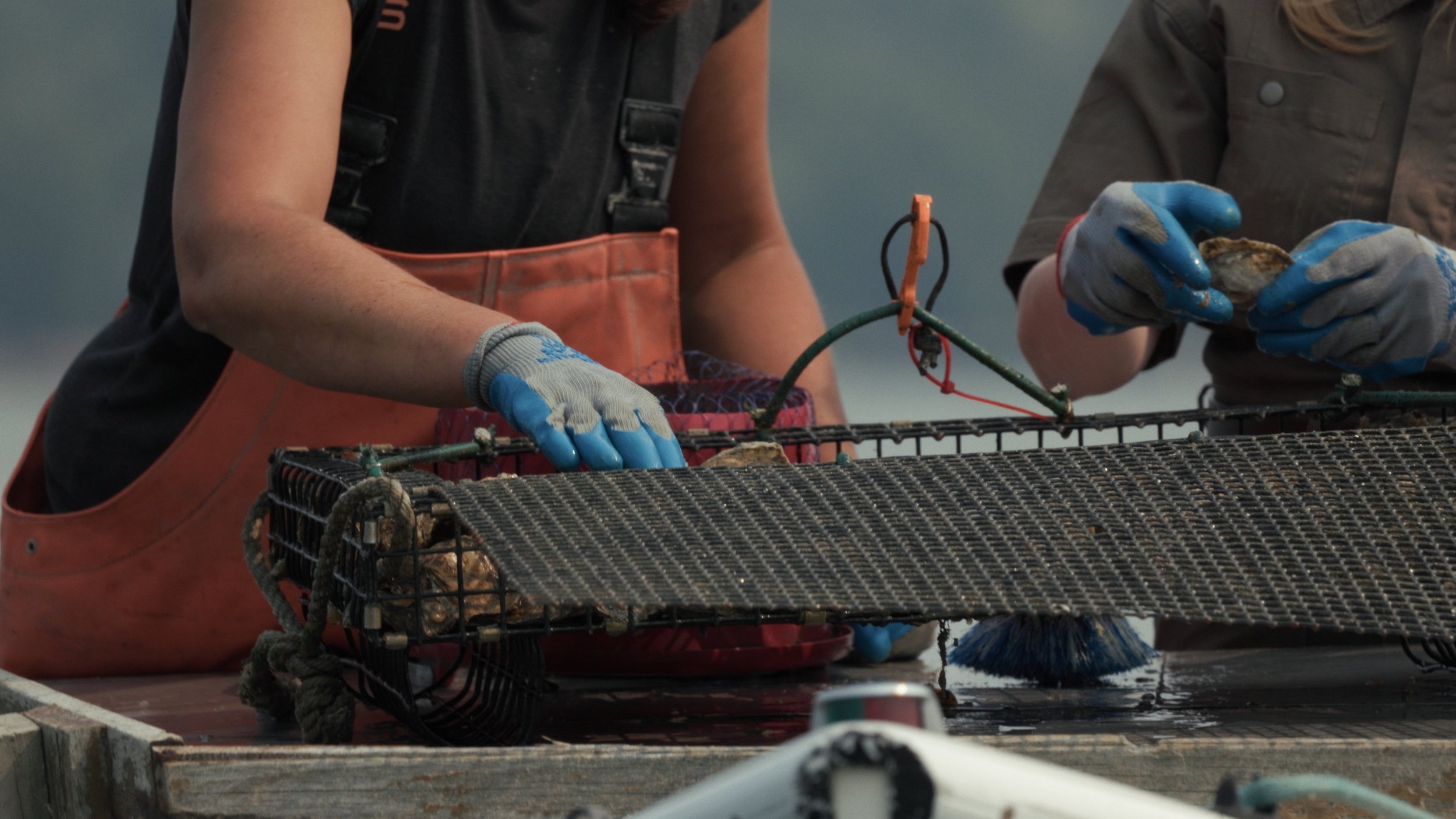 Still 2025-08-04 205600_1.36.3.JPG