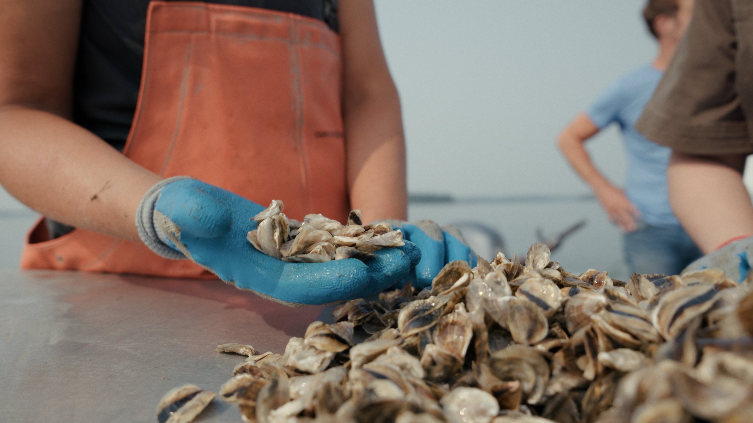 Still 2025-08-04 205600_1.191.1.JPG