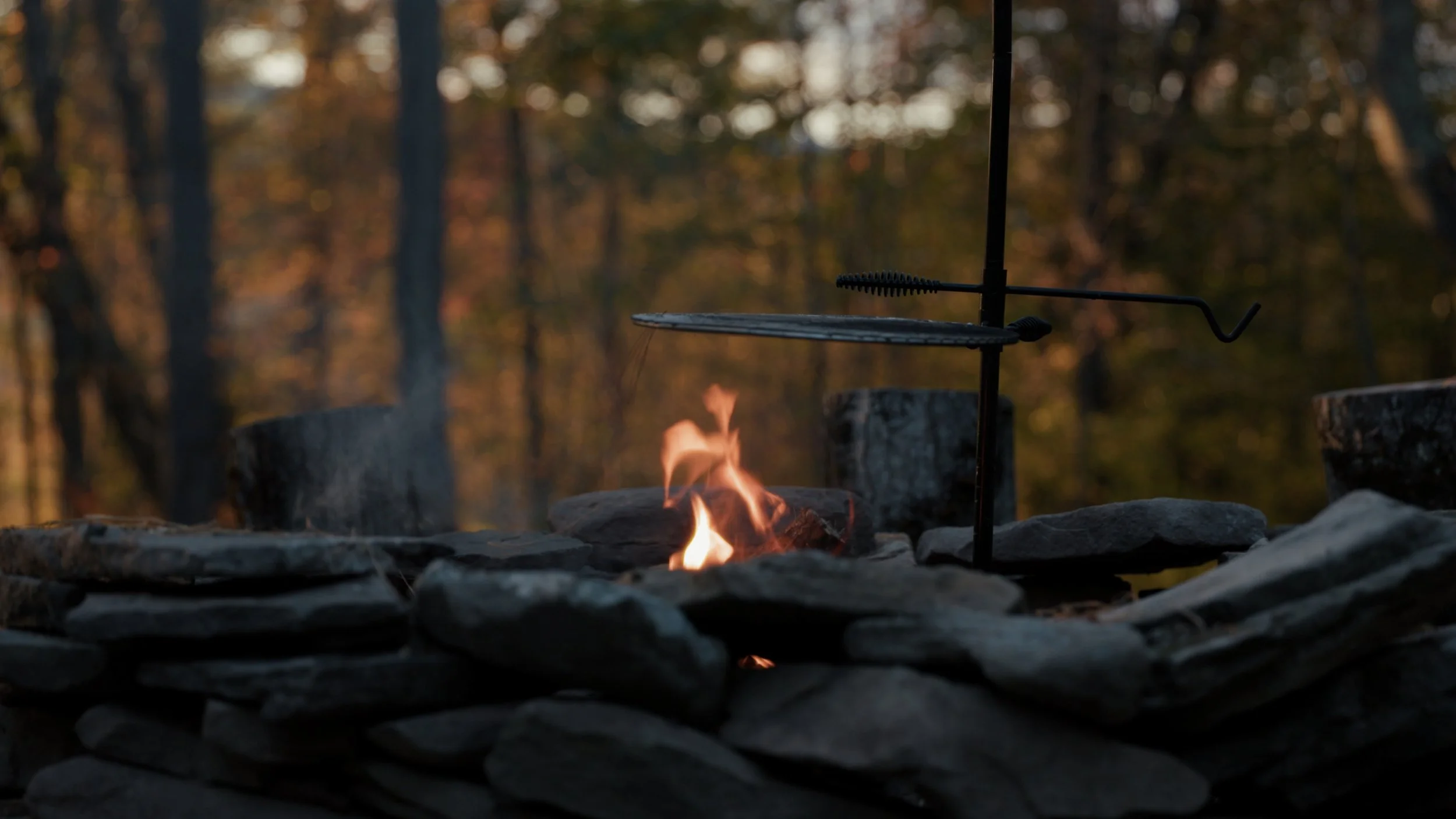 Still 2025-10-04 094957_1.123.1.jpg