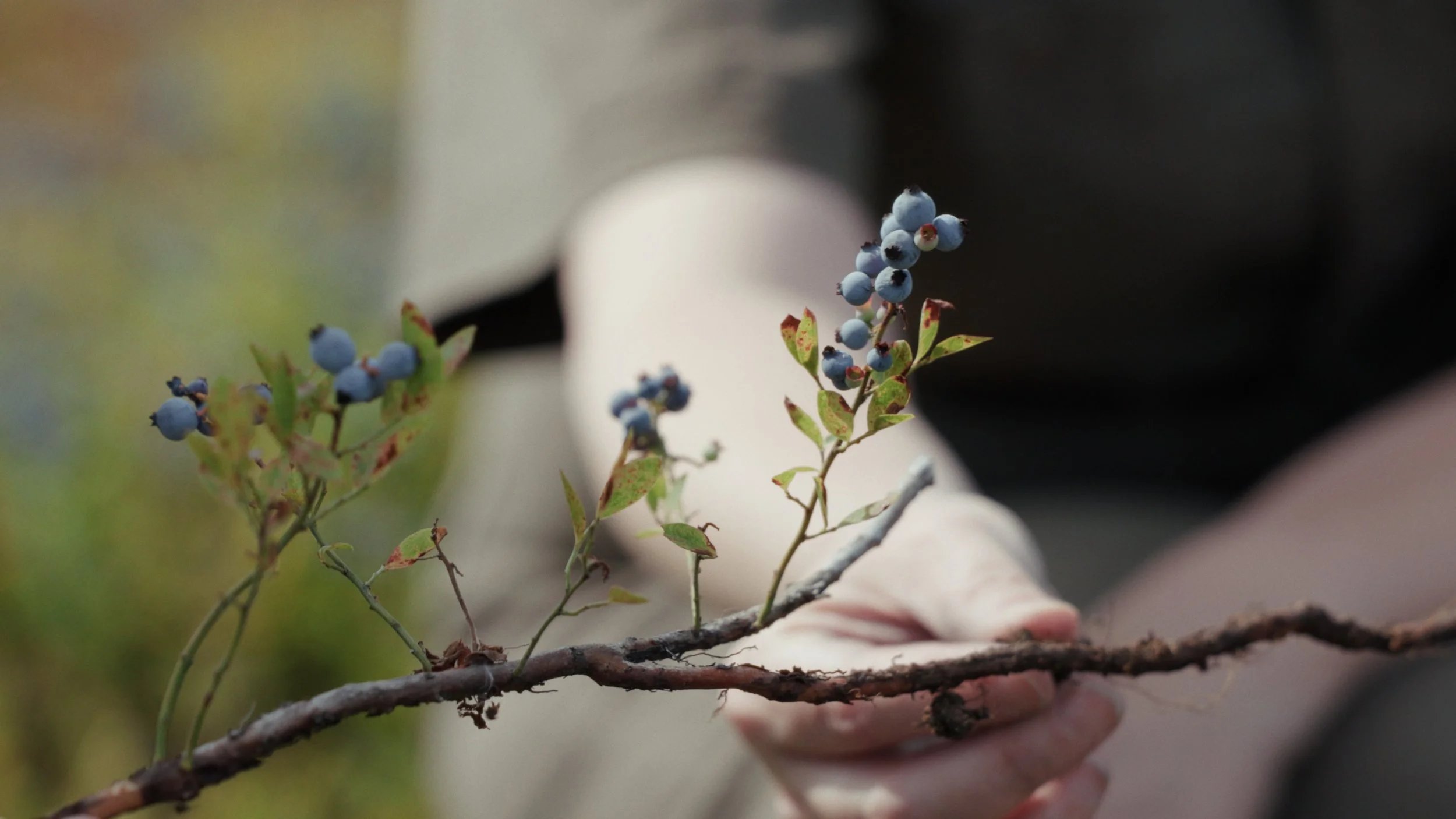 Still 2025-08-06 182922_1.267.1.JPG