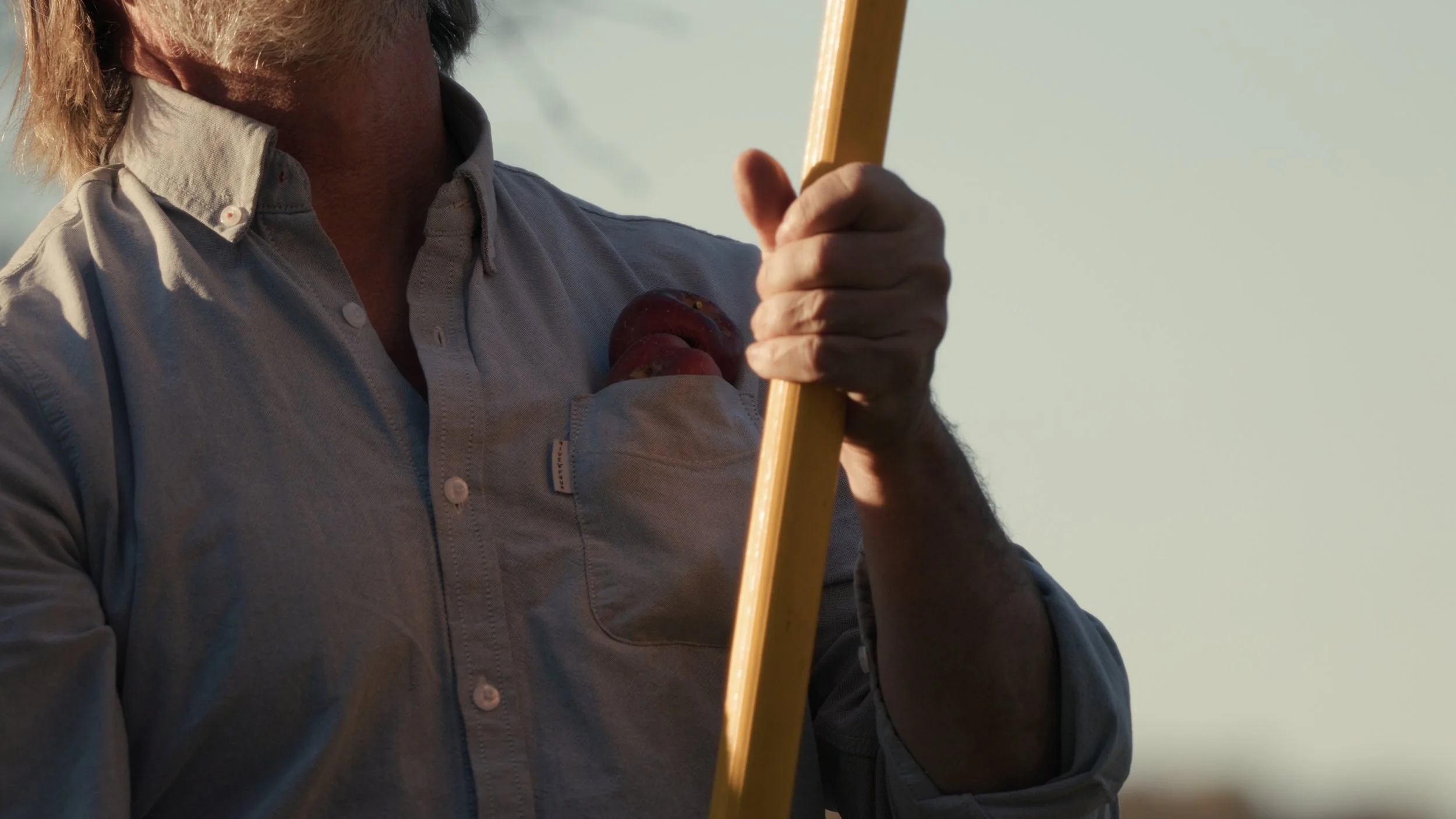 Still 2025-10-04 094957_1.210.1.jpg