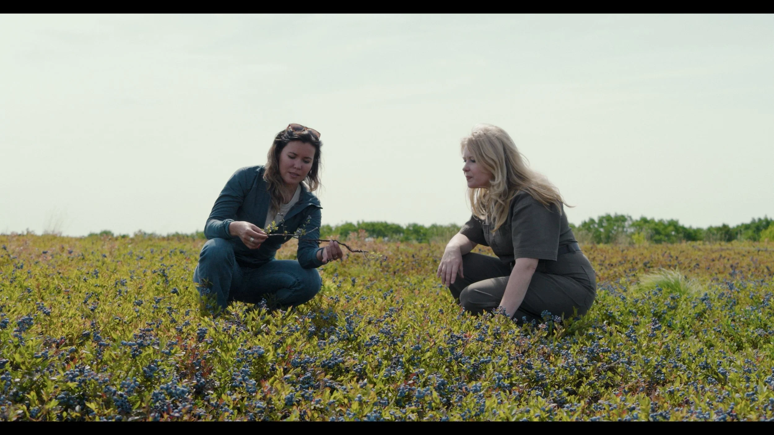 Still 2025-08-06 182905_1.447.3.JPG