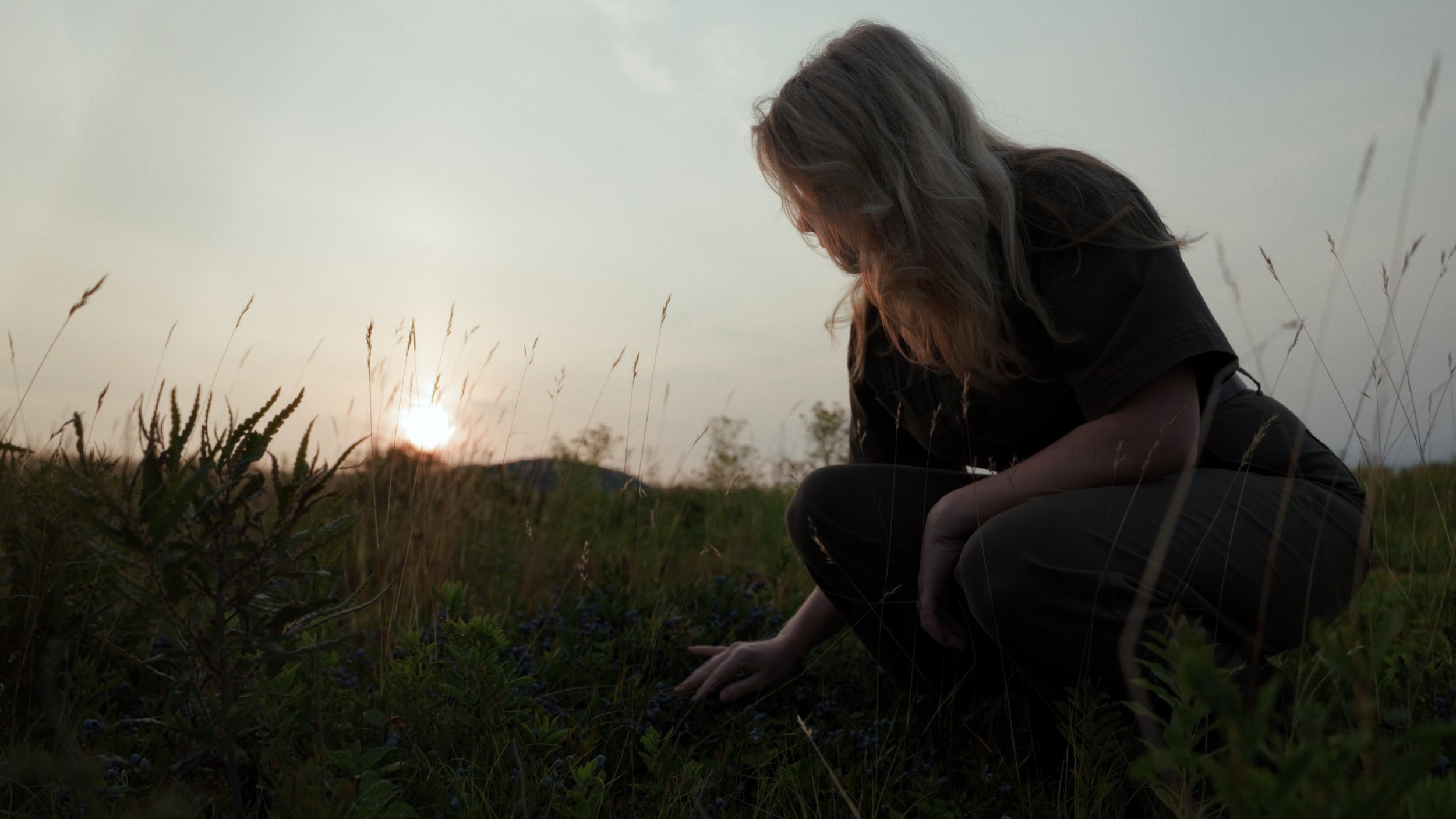 Still 2025-08-06 182922_1.230.1.JPG