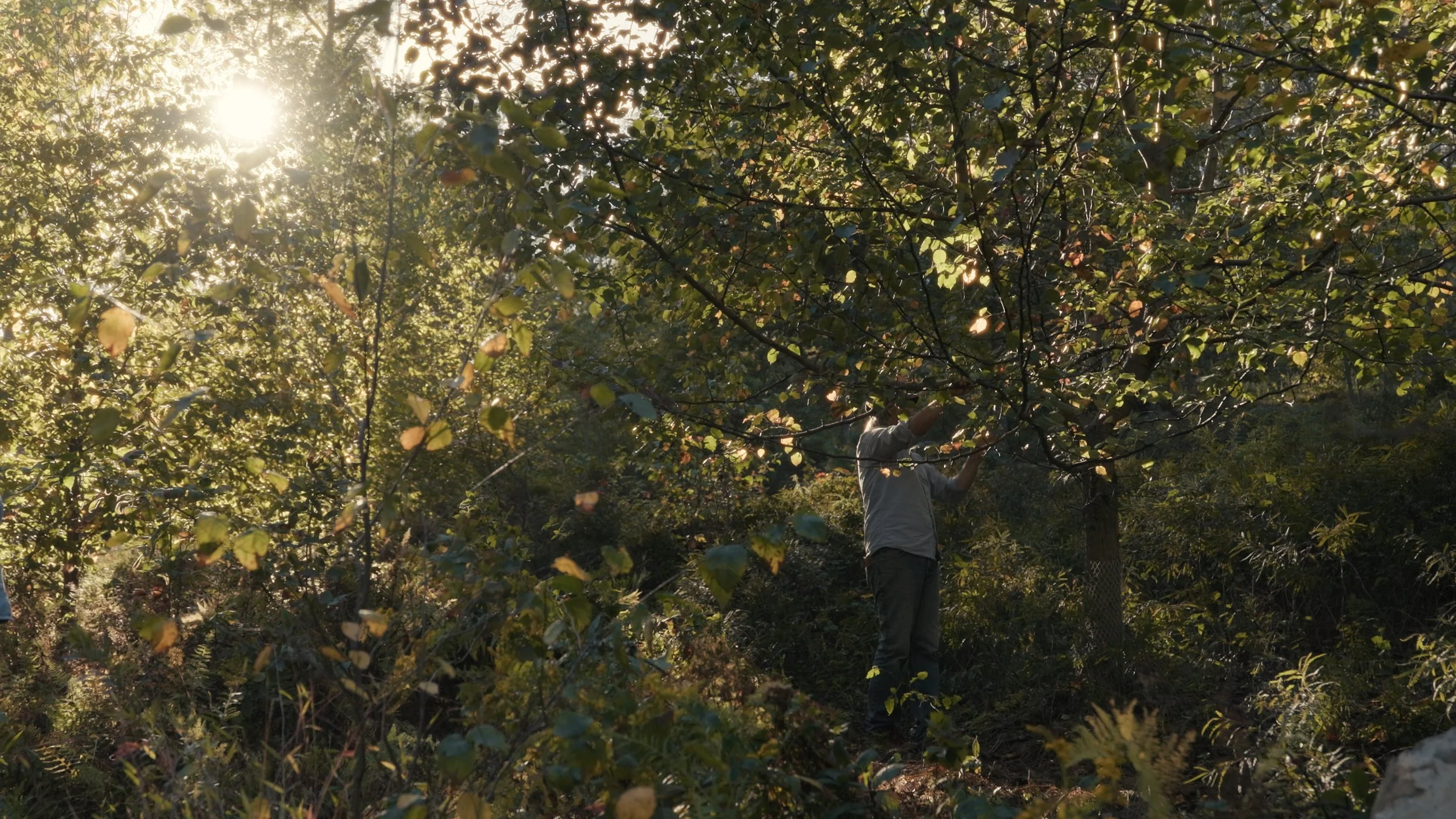 Still 2025-10-04 094957_1.202.3.jpg