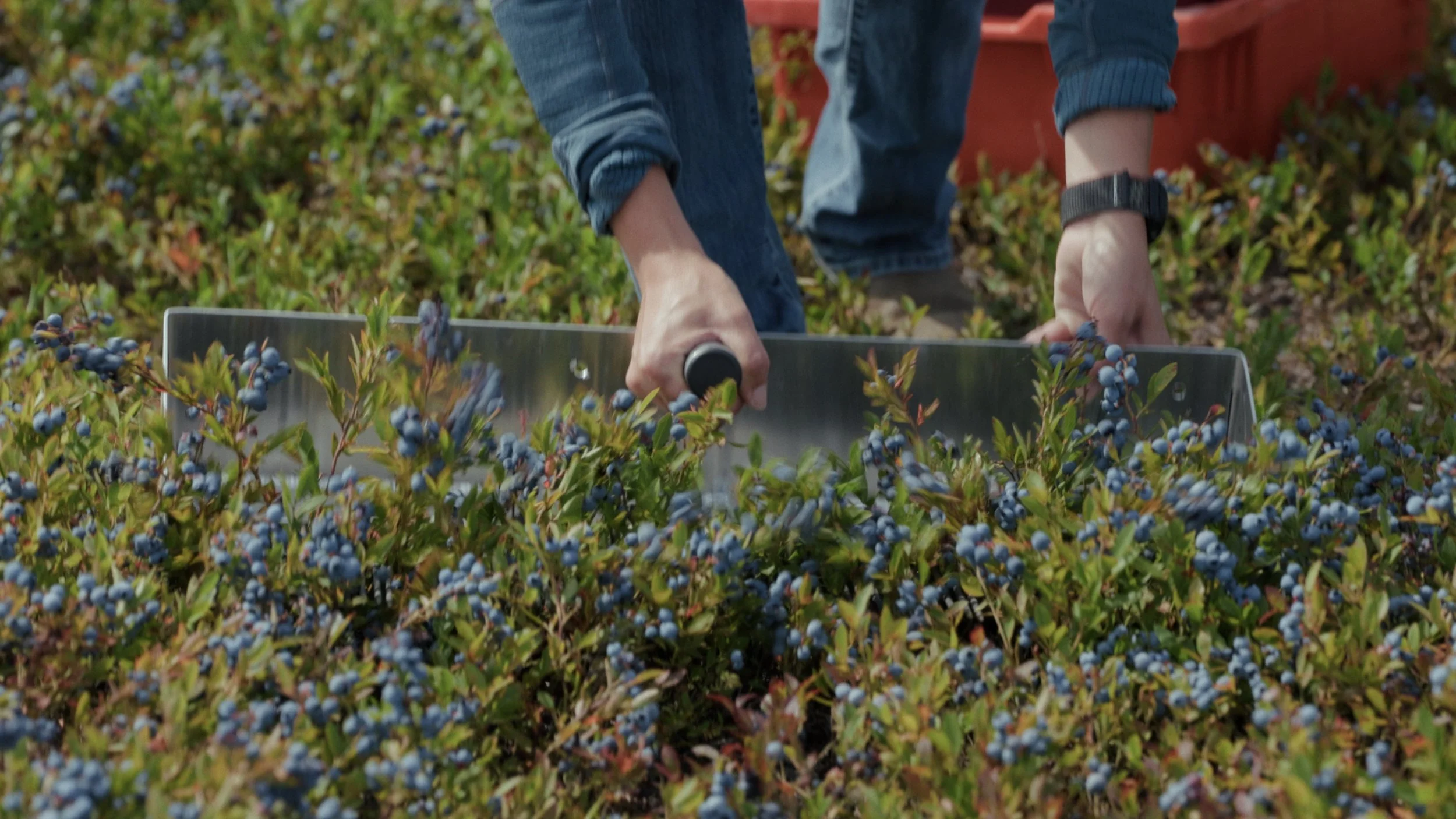 Still 2025-08-06 182922_1.267.2.JPG