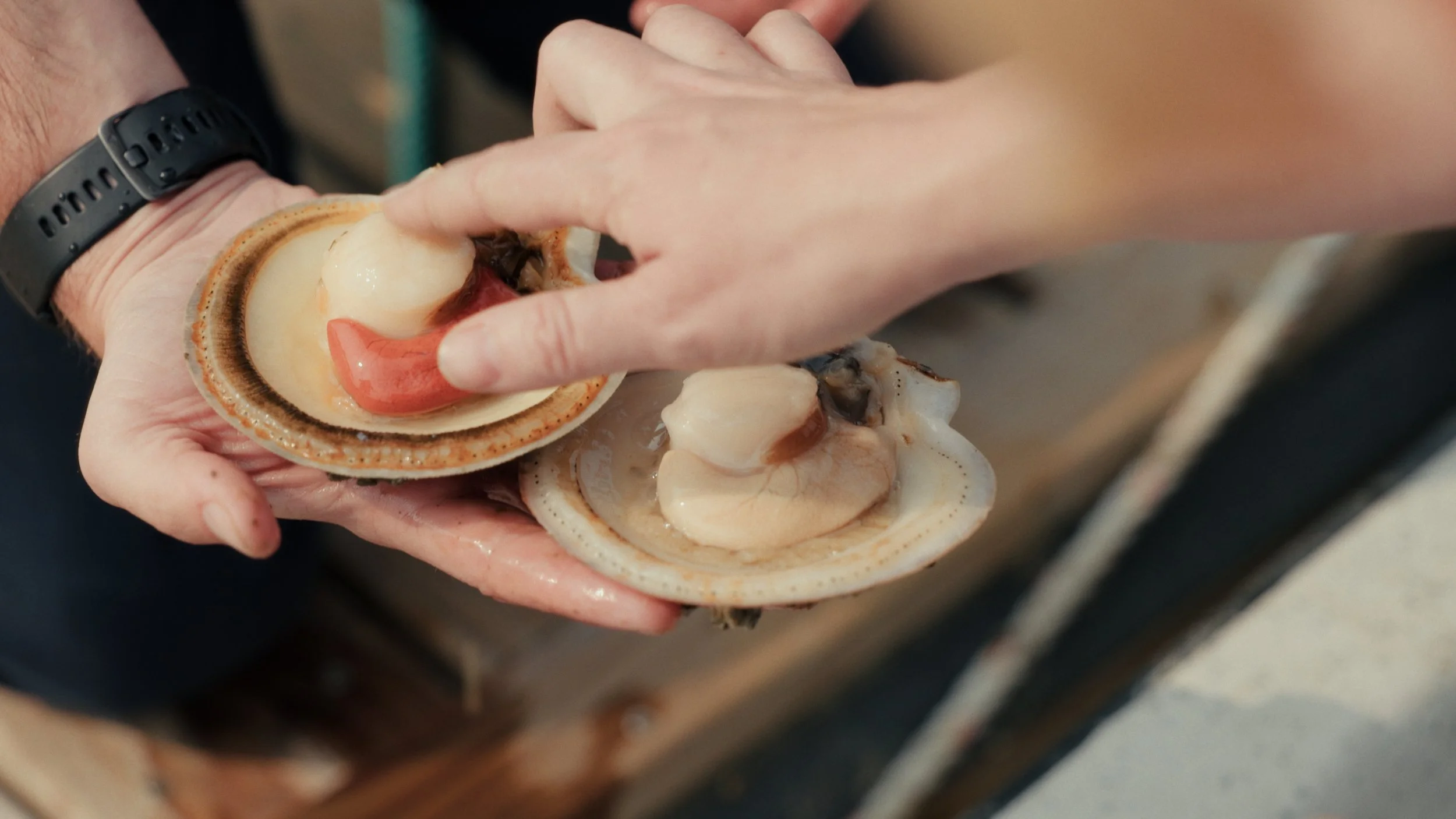 Still 2025-08-06 182852_2.7.1.JPG