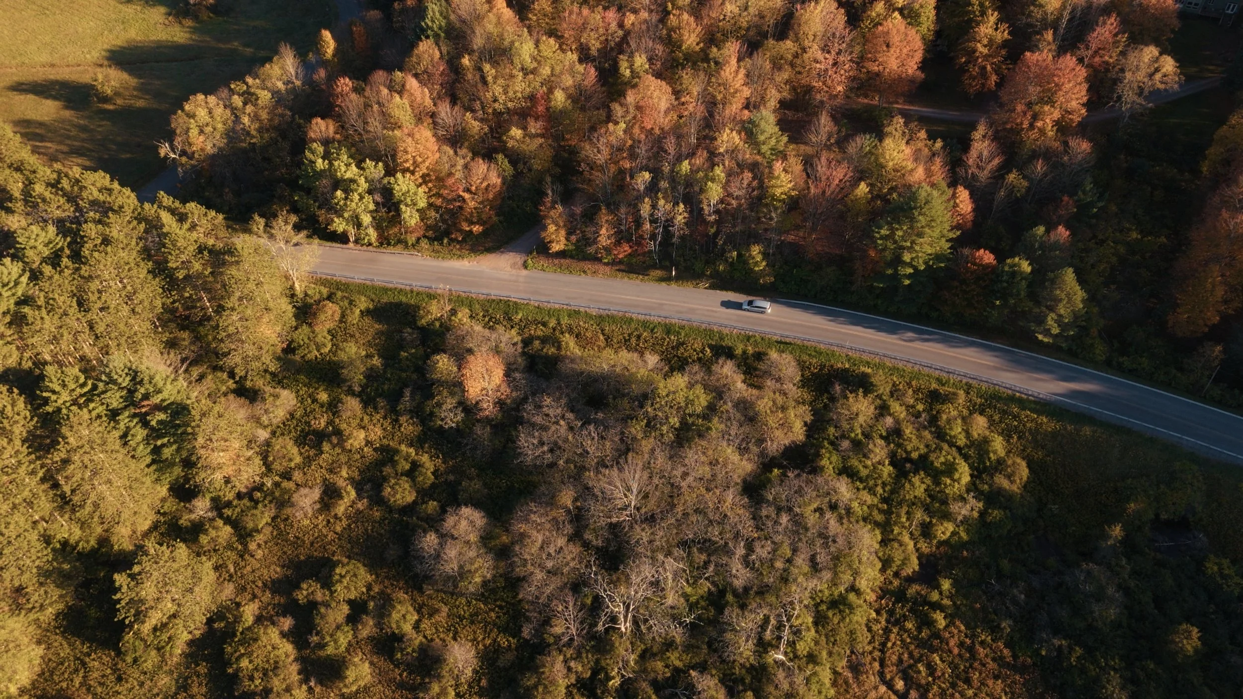 Still 2025-10-04 094957_1.491.1.jpg