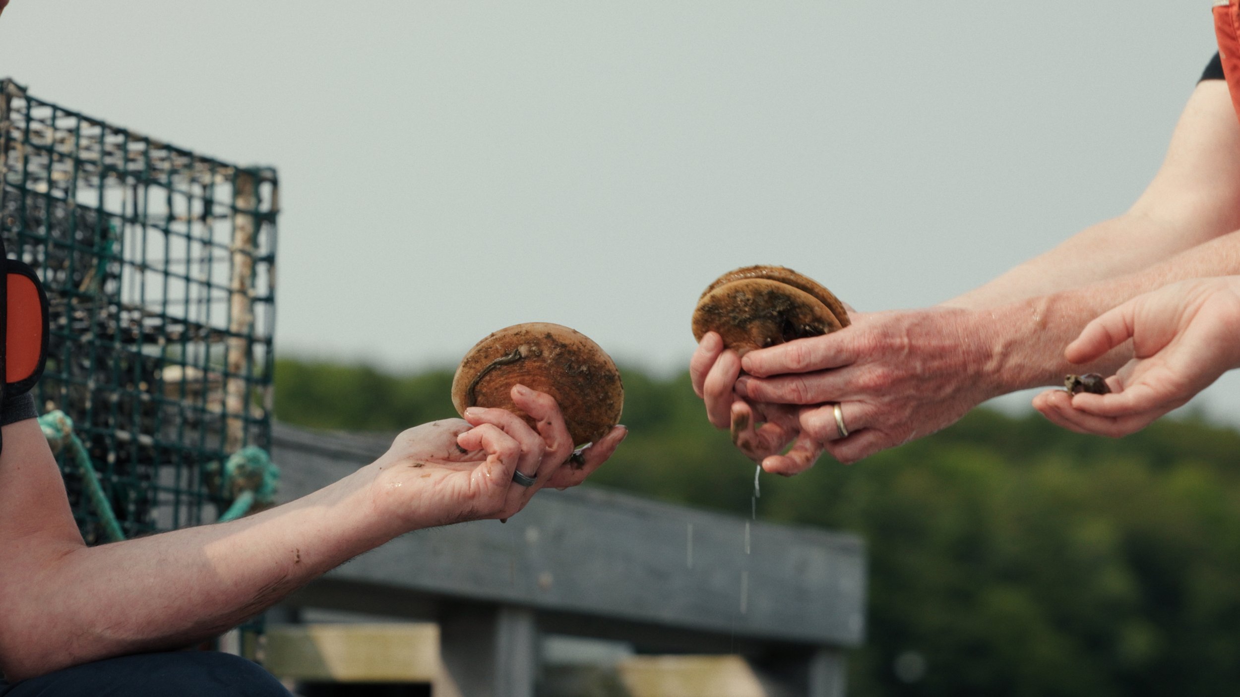 Still 2025-08-06 182852_2.6.2.JPG