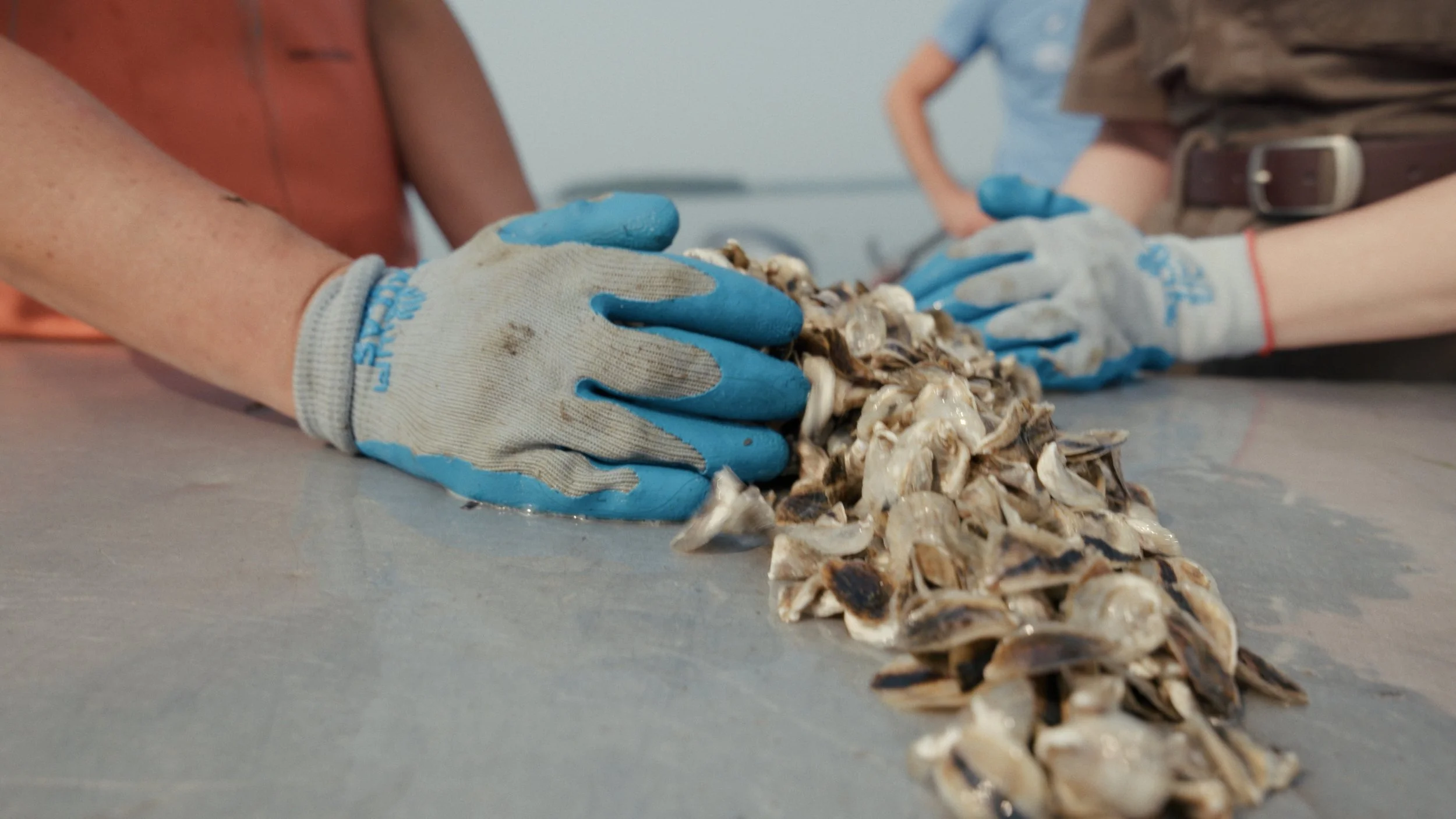 Still 2025-08-04 205600_1.191.2.JPG