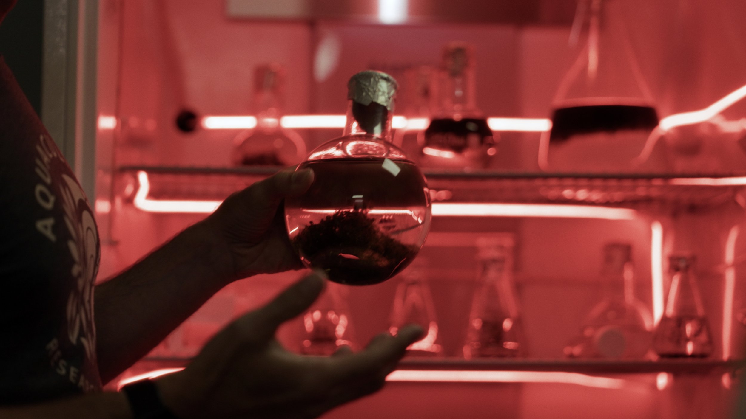 Still 2025-08-06 182922_1.280.1.JPG