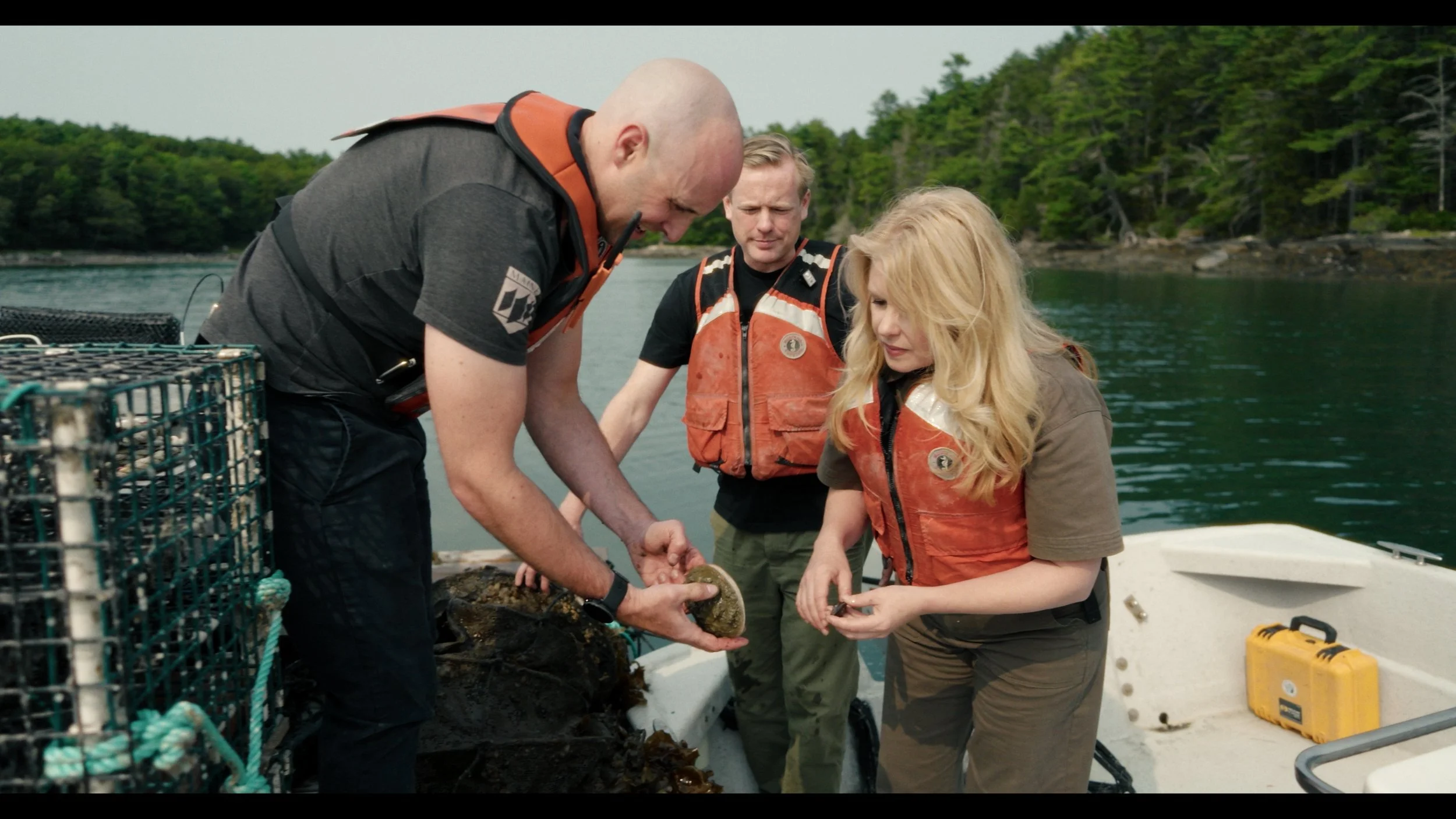 Still 2025-08-06 182852_1.541.1.JPG