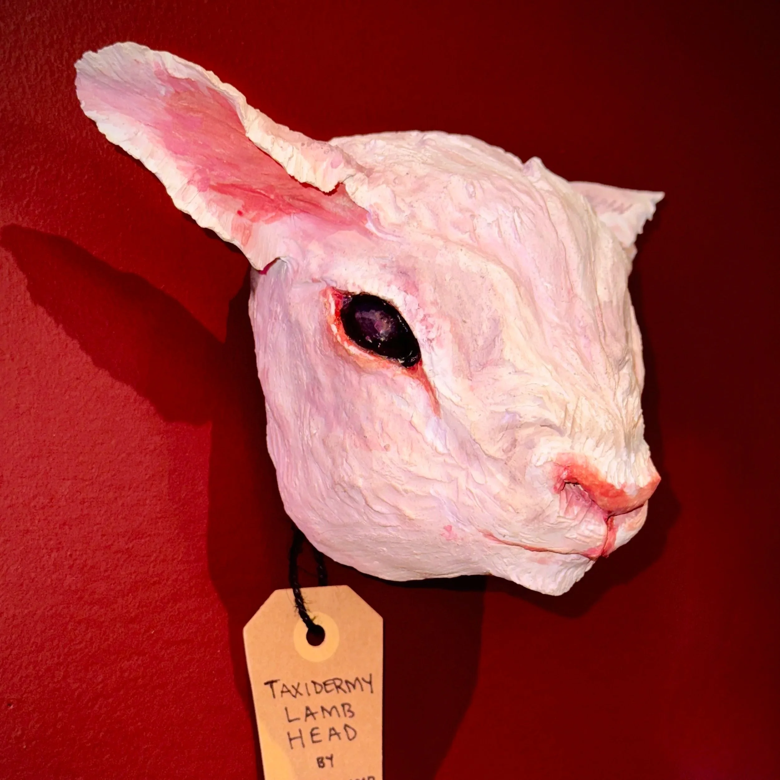 Ear of Lamb Ceramics