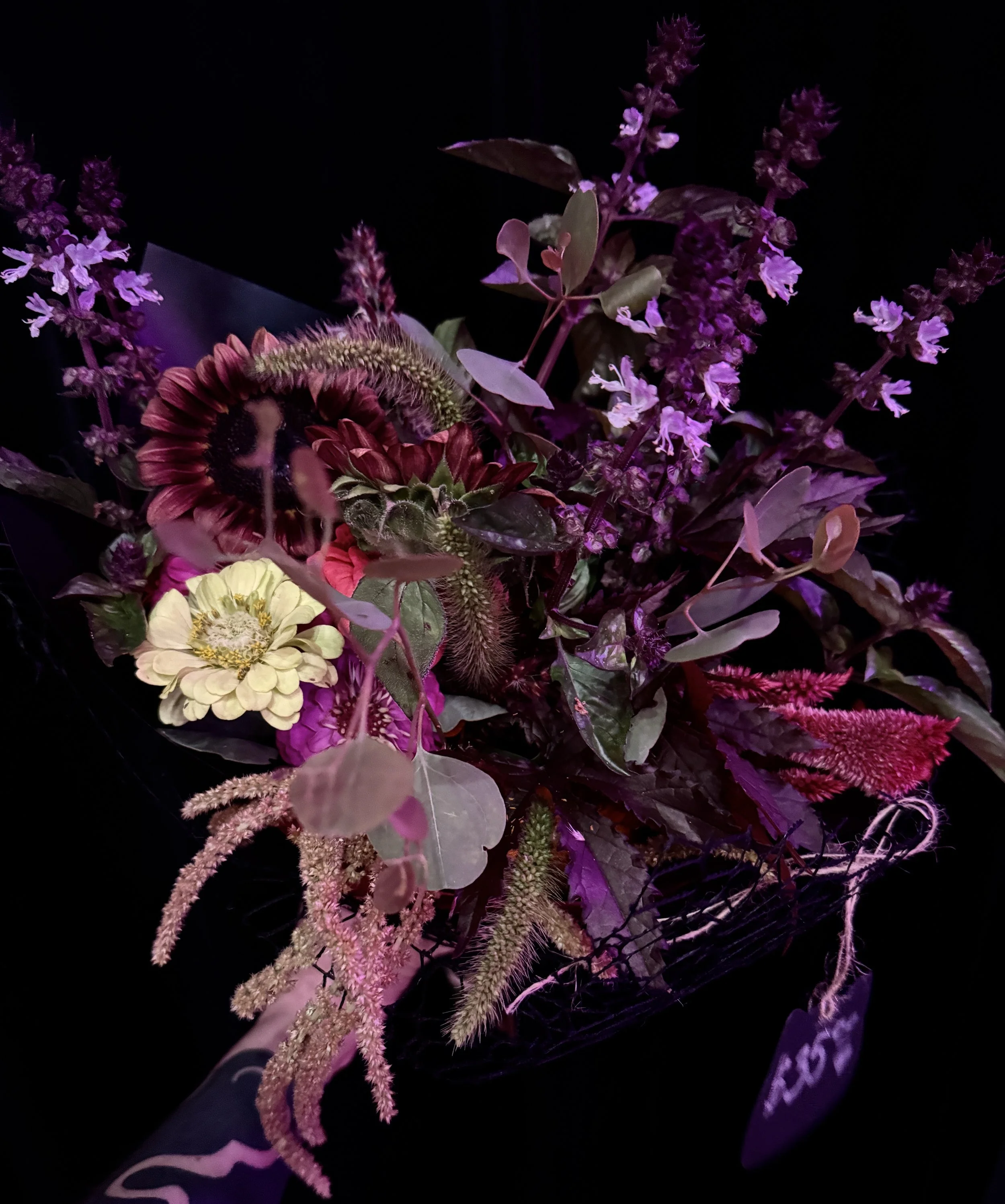 freshfloral.jpg