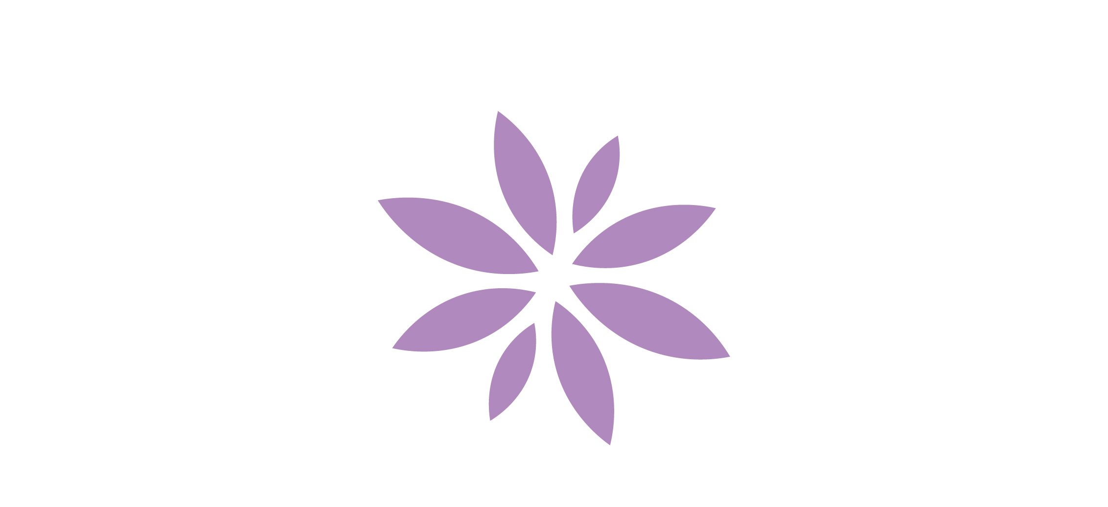 Vive Nootropics_iCONS_Vitamin B-C.jpg