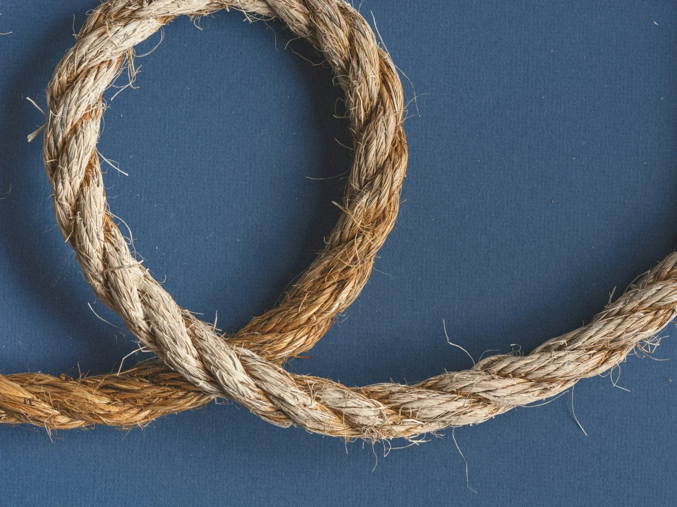 Cord Cutting Ceremony - April 18th, 2026