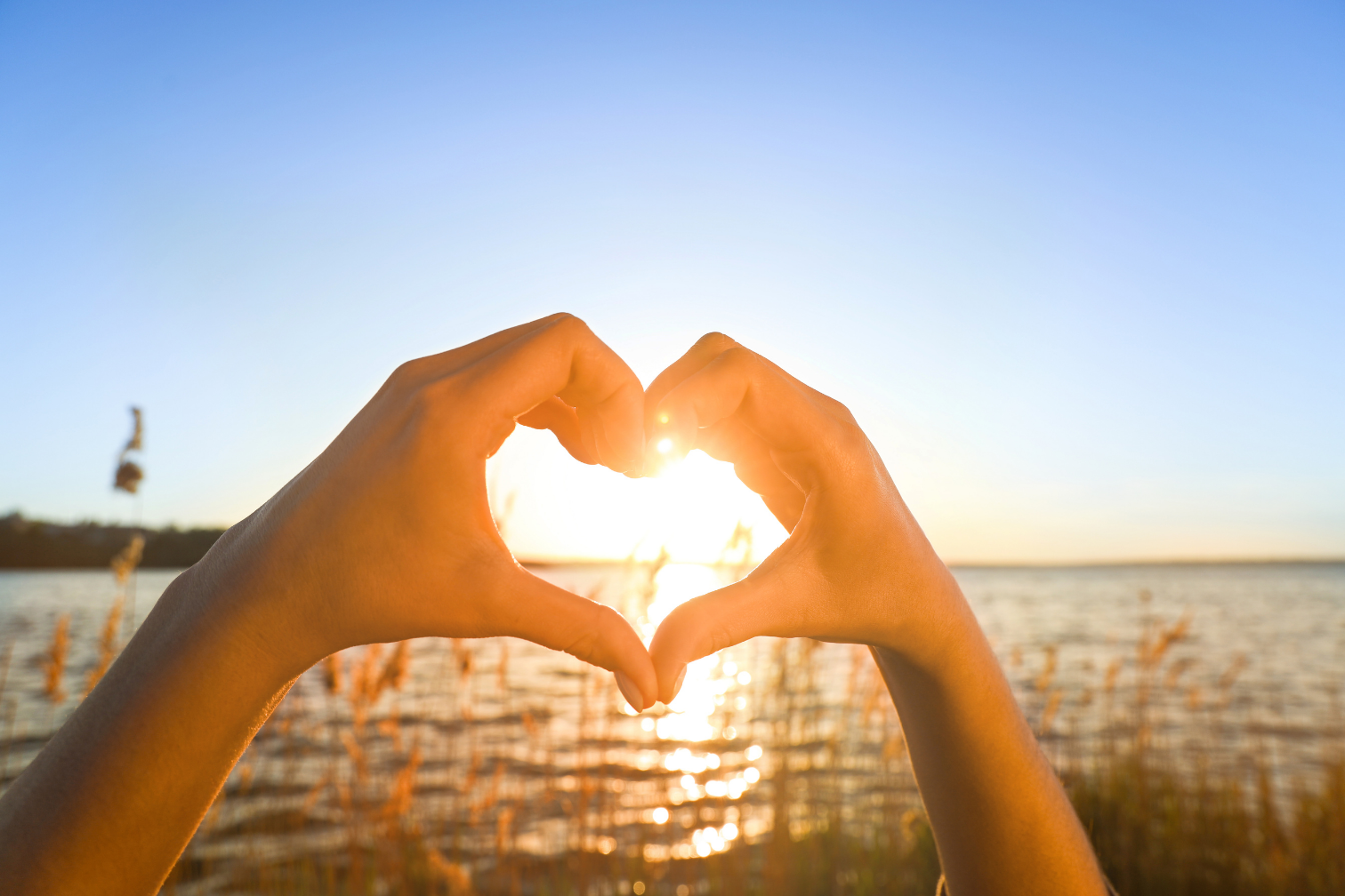 Summer Solstice Retreat