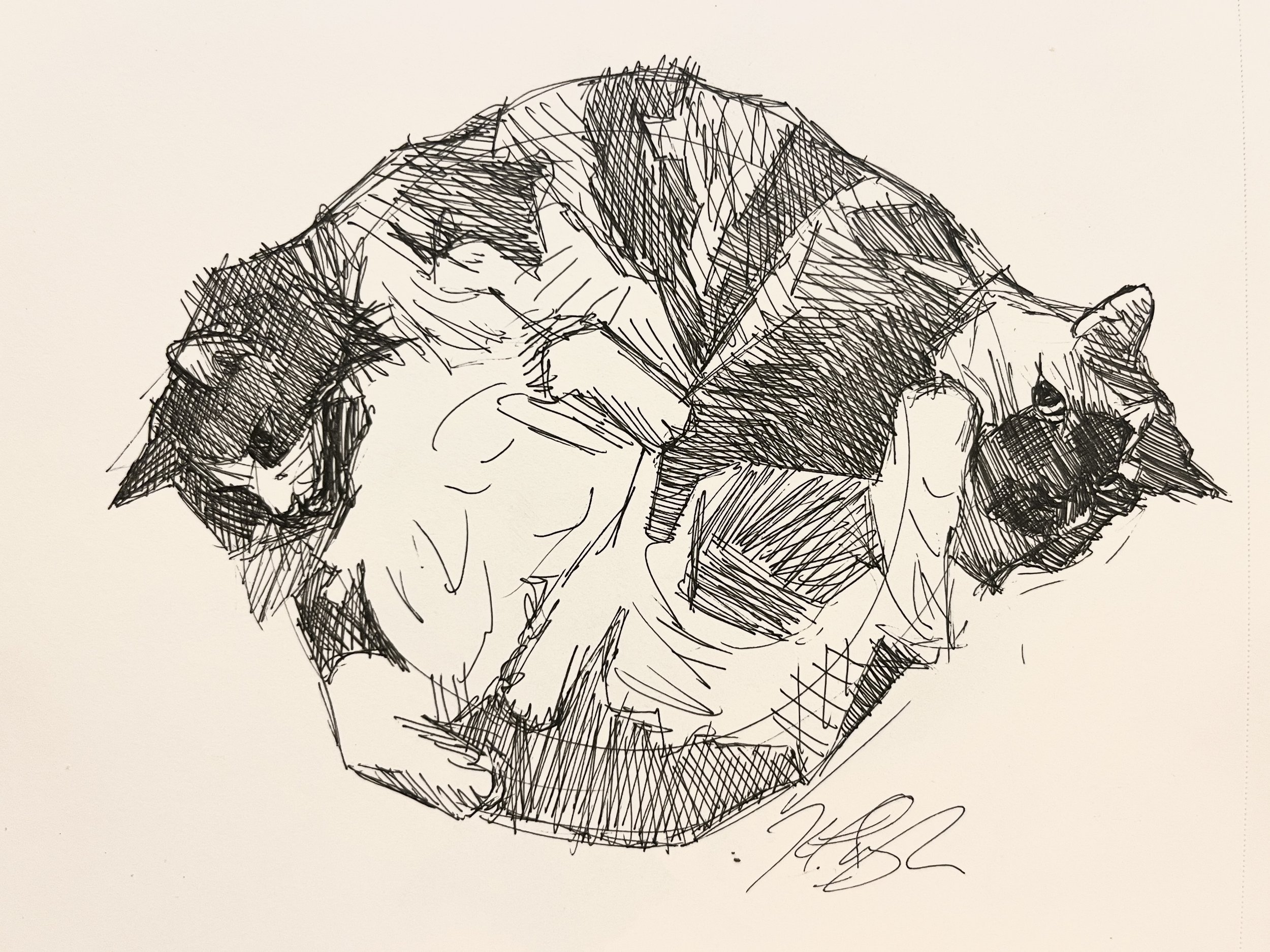 MABEL AND MACSKA