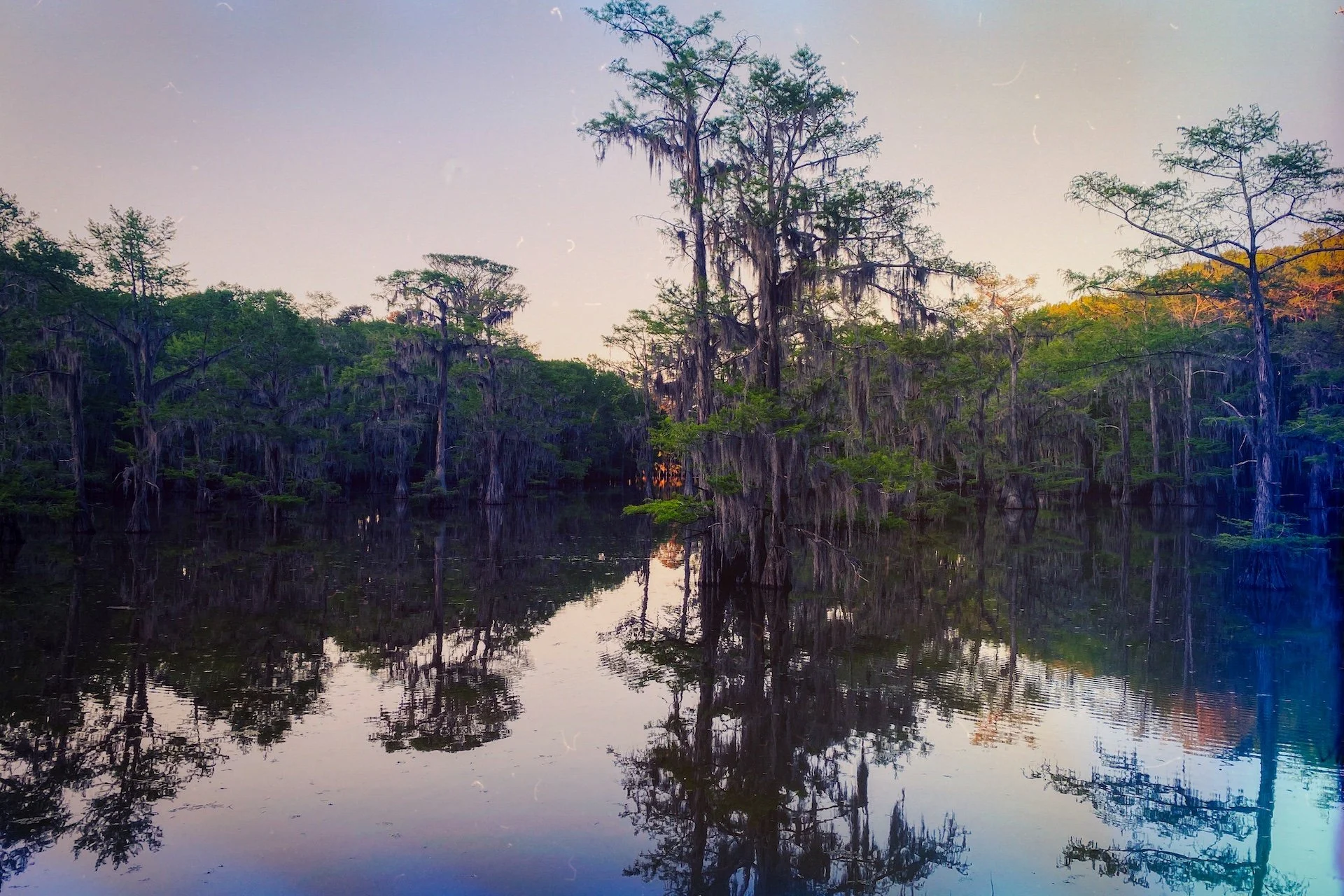 Cinematic Photography and Drone Video at Caddo Lake, Texas