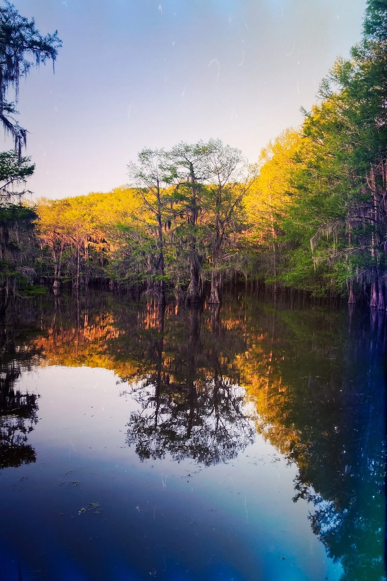 caddo lake, texas photography