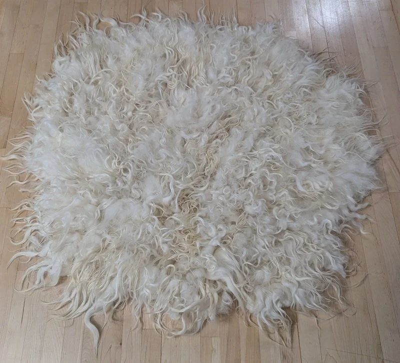 Harmony living wool rug.jpg