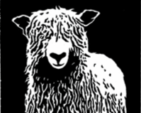 Gaspereau Valley Fibre