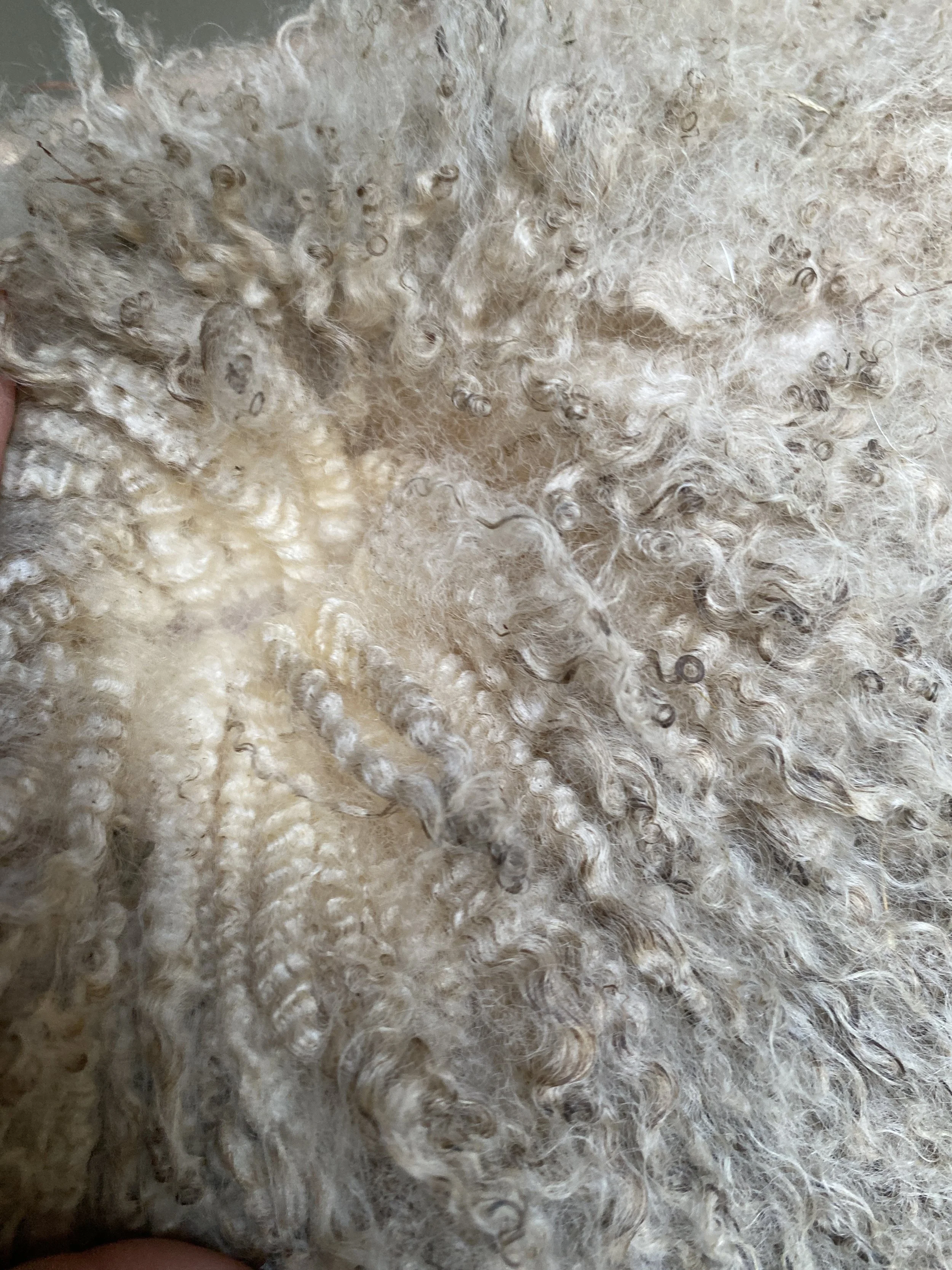 Crooked Fence_IMG_2856 - Shauna McKenna.jpeg