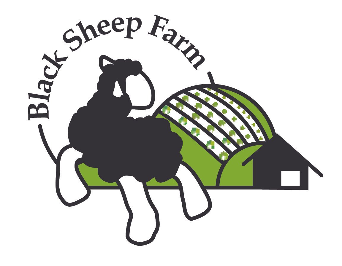 Black Sheep Farm