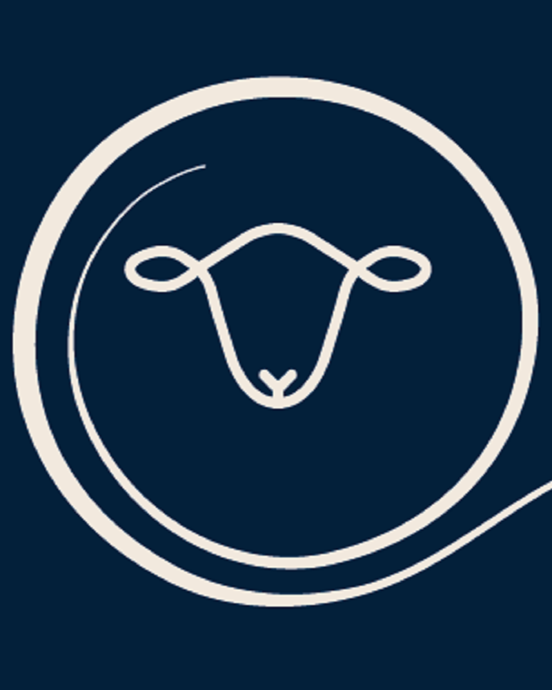 Revolution Wool Company