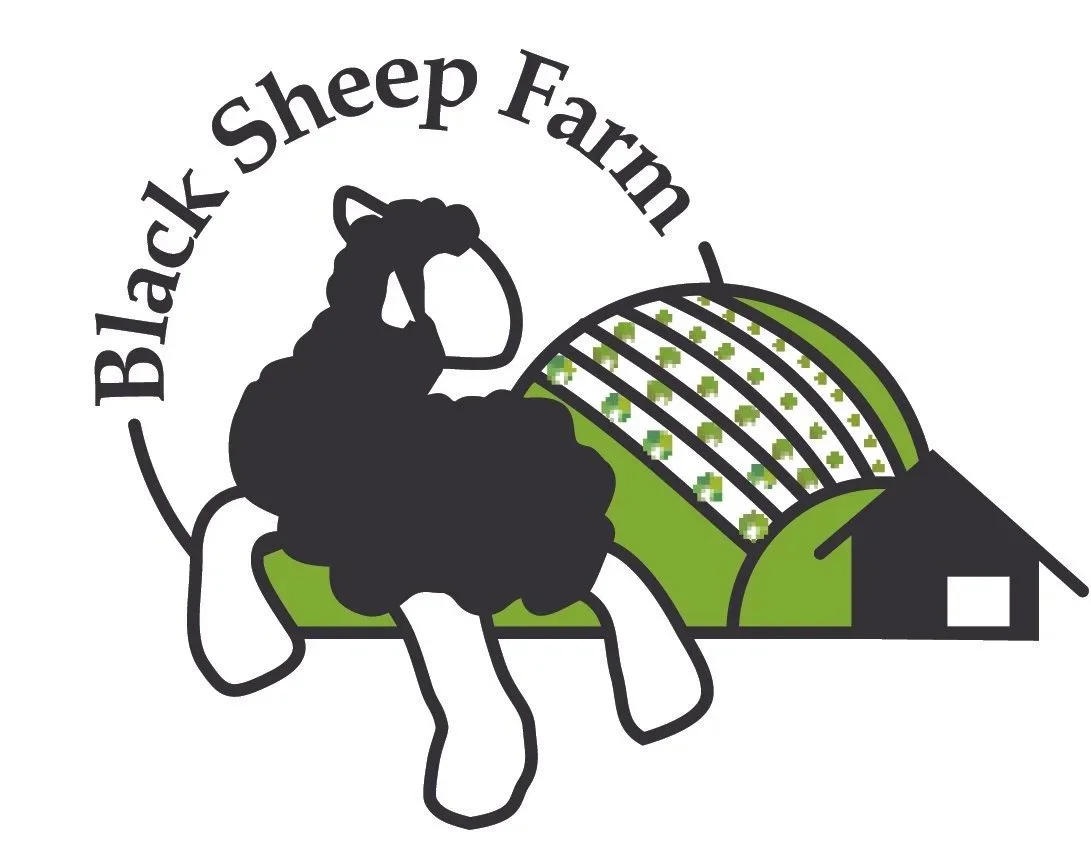 Black Sheep Farm