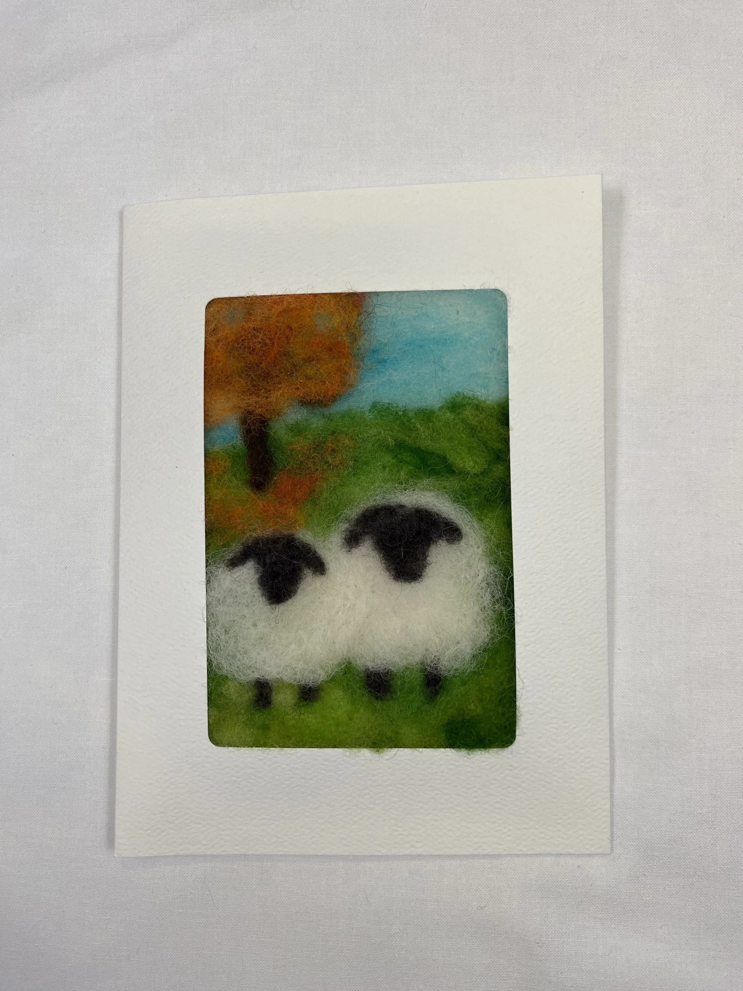 Crooked Fence_IMG_1951 - Shauna McKenna.jpeg