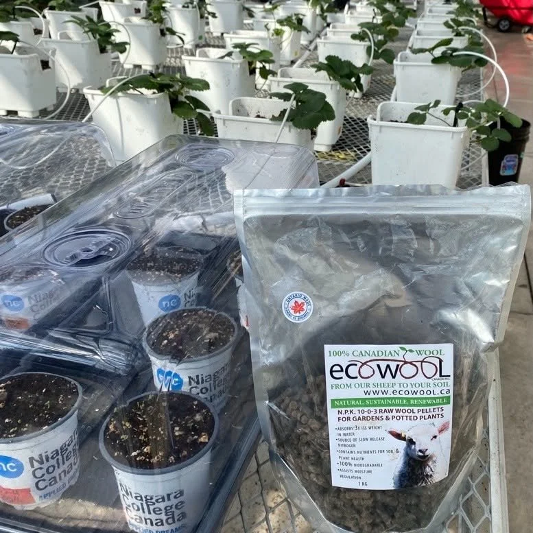 ecowool pellets.jpg