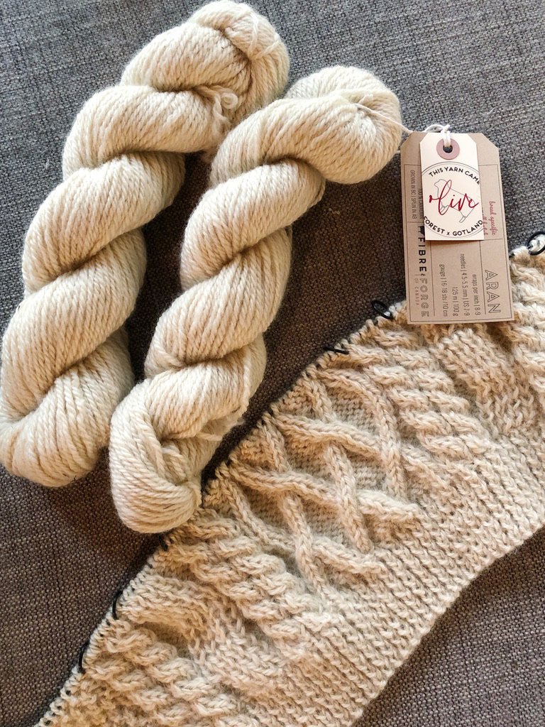 olive sweater - Beatriz Rempel.jpg