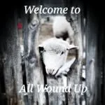 All Wound Up Knitting